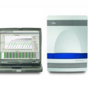荧光定量PCR